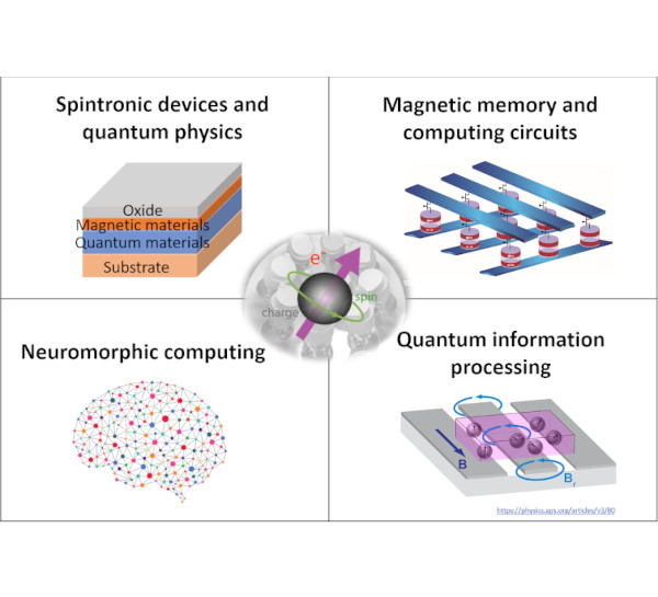 Spintronic Quantum Material